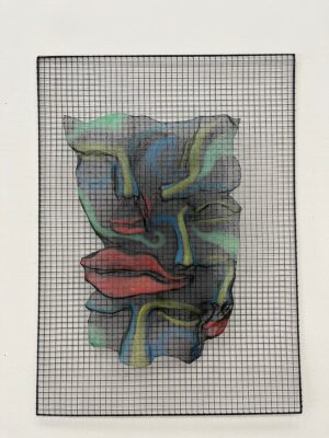 B-211 פנים מעורבות